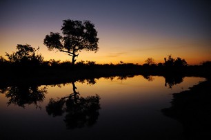 G et J-Ph Baude-Routier - Reflets